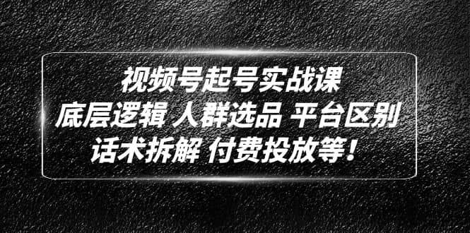 视频号起号实战课 底层逻辑人群选品平台区别 话术拆解付费投放等