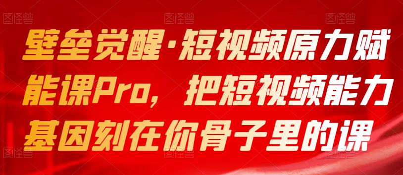 2022壁垒觉醒·短视频原力赋能课Pro，把短视频能力基因刻在你骨子里的课