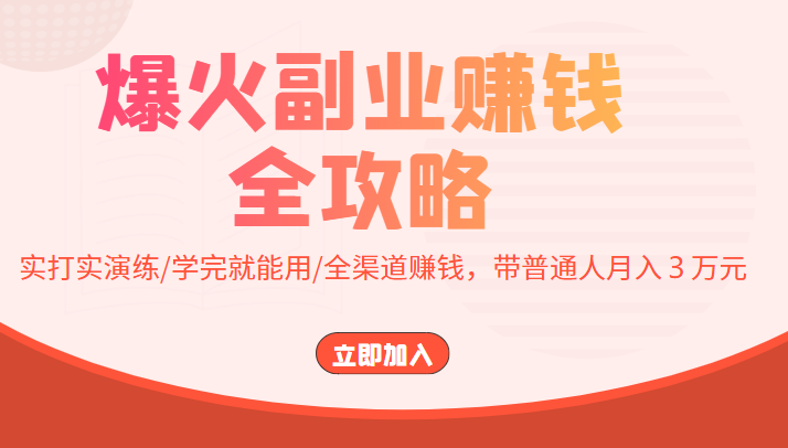 爆火副业赚钱全攻略：实打实演练/学完就能用/全渠道赚钱，带普通人月入３万元！