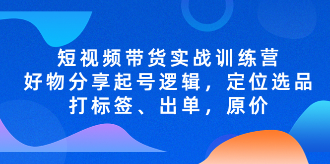 2023短视频带货实战训练营：好物分享起号逻辑，定位选品打标签、出单，原价