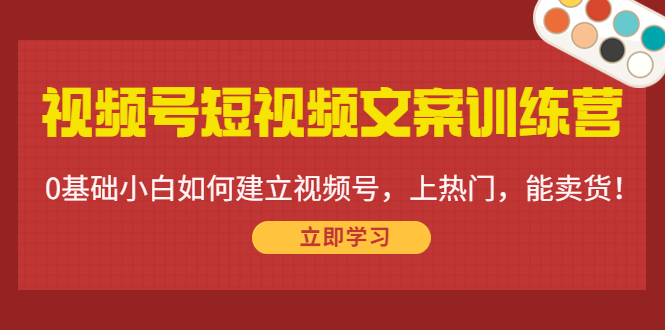 视频号短视频文案训练营：0基础小白如何建立视频号，上热门，能卖货