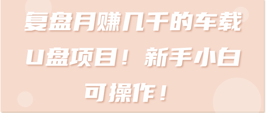 车载U盘项目【日入200+】！